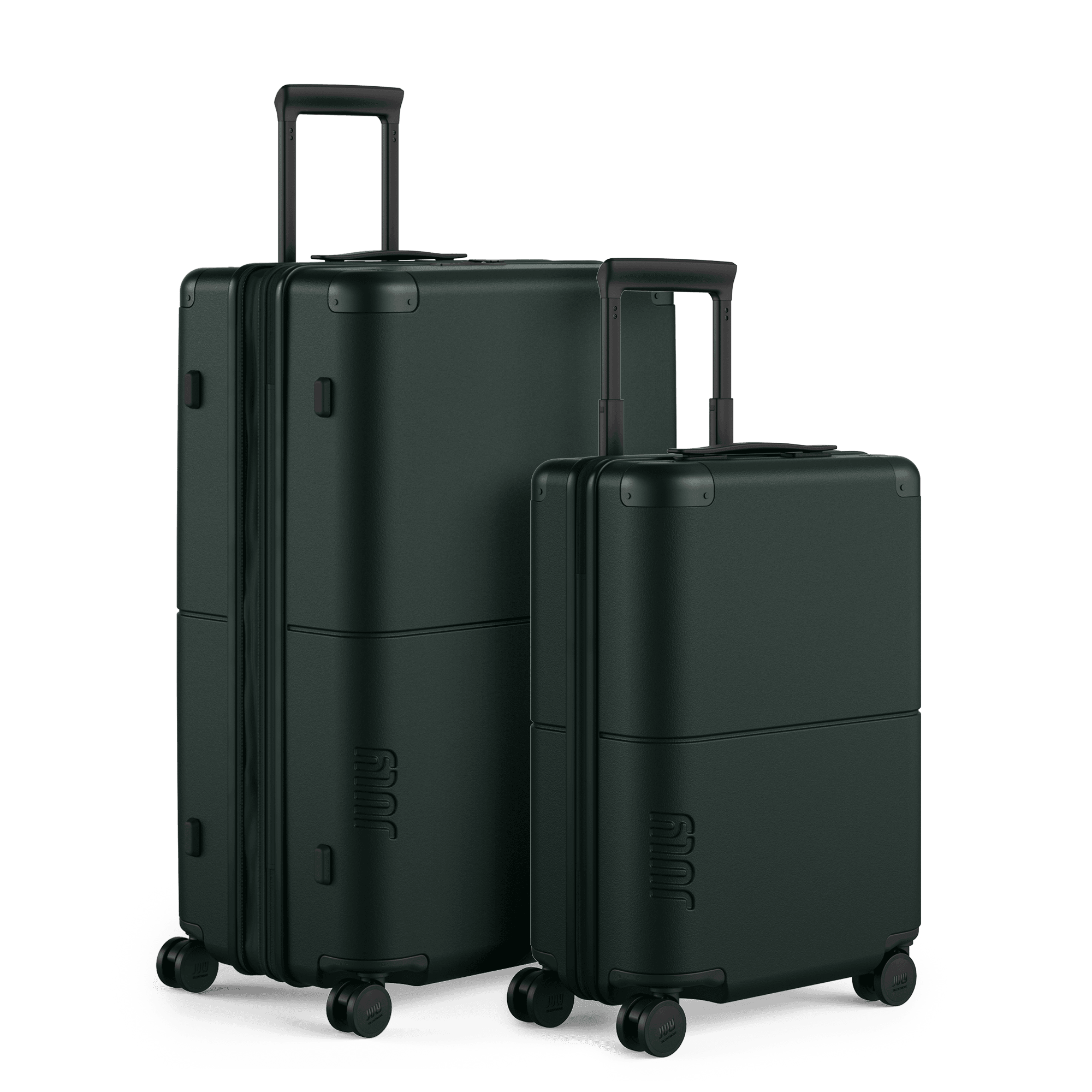 COPB+CHKEx+CHKPEx_Forest 3 (1).png