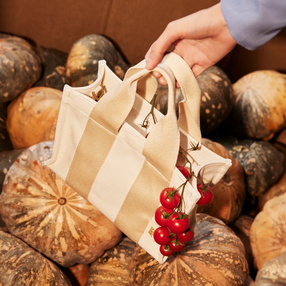 PDP_MiniTote_Slot 4.jpg